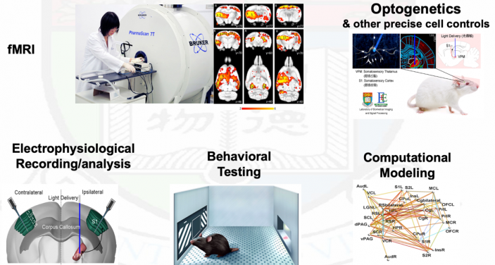 Illustration of multi-model experimental approach